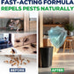 Helt ny förpackning – materialet och resultatet är precis som i videon!👍Storsäljare – 🗑️Naturlig insekts- och skadedjursspray med pepparmyntaolja🪳🦟 – Maximal styrka – En doftformel som är säker att använda i hemmet och trädgården