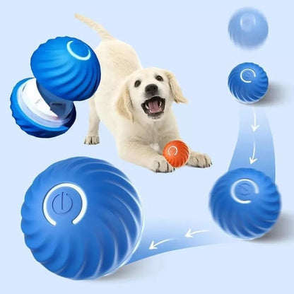 🔥Sista dagen-erbjudande: 49 % rabatt🐶Automatisk, smart hundboll som inte går att bita i