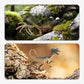 🦖 50 % RABATT JUST NU! 🎁 Roligt och lärorikt dinosaurieleksats för barn – Gräv, bygg och lär dig – Innehåller fossil, verktyg och faktakort – perfekt för nyfikna unga paleontologer 🦕