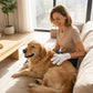 Odor-Removing Pet Grooming Gloves