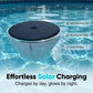 🌊🌞Sommarrea - 50% rabatt!! 🌟Soldriven flytande poollampa med fiskformad projekto