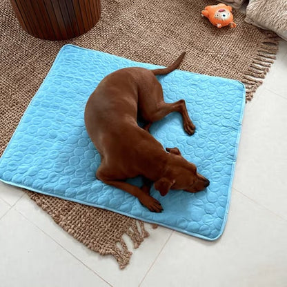 ❄️🐶 50% rabatt ✨ Kylmatta för hundar – håller din hund sval & bekväm under varma sommardagar 🌿