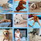 ❄️🐶 50% rabatt ✨ Kylmatta för hundar – håller din hund sval & bekväm under varma sommardagar 🌿