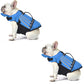 🐕50 % RABATT! Reflekterande hundflytväst med änglavingar – hög flytkraft, handtag för snabb räddning och andningsbart nätmaterial. Reflekterande band för kvällsbad. Säker och bedårande! 🌊✨