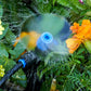 🌿💧 Utomhus kyl- och bevattningssystem för blommor