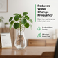 🥳STOR REA 2026🥳💞Över 50 000 sålda!💧🌿 50 % RABATT! Vattenreningstabletter – Tar bort alger och grumlighet, håller vattnet till växterna kristallklart. En tablett ger omedelbara resultat! 🌱✨