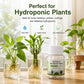 Water Purifying Tablets for Hydroponic Plants and Cut Flowers