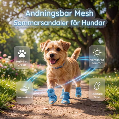 📢📢50% RABATT NU!! ⏰Lätta halkfria hundstövlar i nät ☀️🐶 | För alla underlag inomhus och utomhus🐾