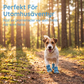 📢📢50% RABATT NU!! ⏰Lätta halkfria hundstövlar i nät ☀️🐶 | För alla underlag inomhus och utomhus🐾