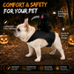 Rolig Halloween-kostym för husdjur: ”Reaper Rider”