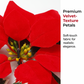 🌺Julstjärneblommig ljusslinga för juldekoration🌺