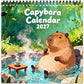 😂 Rolig Kapybarakalender 2027 – 12 Månader Av Söta Bilder, Små Leenden & Kapybarahumor!