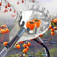 🍎 50% RABATT NU! 🍊 Fruktplockare med korg – plocka frukt utan stege, skonsam & enkel – perfekt för trädgården, fruktträdgården och parken ✨