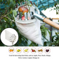 🍎 50% RABATT NU! 🍊 Fruktplockare med korg – plocka frukt utan stege, skonsam & enkel – perfekt för trädgården, fruktträdgården och parken ✨